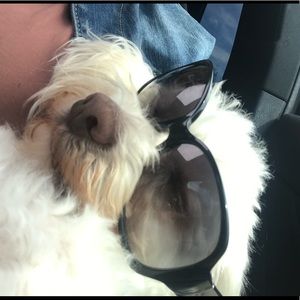 Meet your Posher, Anita